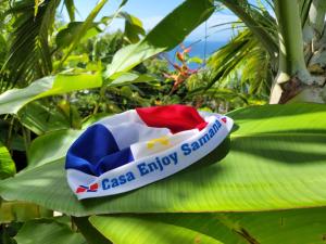 a bracelet on top of a green leaf at casaenjoysamana in Los Naranjos