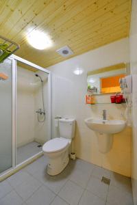 台南的住宿－台南傑克屋，一间带卫生间和水槽的浴室