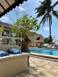 een zwembad met een bank en een palmboom bij Paje Beach Apartments & Hotel in Paje