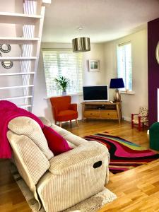 a living room with a couch and a television at Red Deer Cosy Apartment in Letterfrack Connemara in Letterfrack