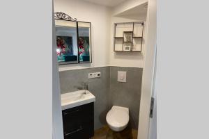 a bathroom with a toilet and a sink and a mirror at Smart Home - Die etwas andere Ferienwohnung! in Brandenburg an der Havel +6 photos