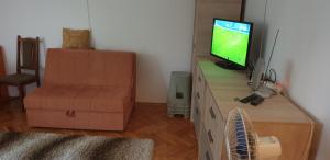 "PARADIZE" Apartmantにあるテレビまたはエンターテインメントセンター