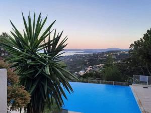 una gran piscina azul con una palmera al lado en Très bel appartement T3 avec splendide vue mer, en Les Issambres