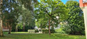 a green yard with trees and a sidewalk at Nürnberg Apartment in Nuremberg