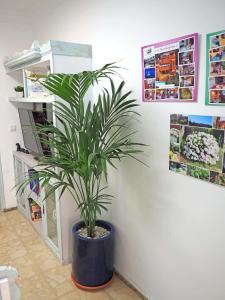 Fotografia z galérie ubytovania La Luz Vivienda Vacacional v destinácii Las Palmas de Gran Canaria