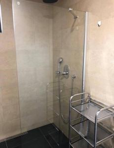 um chuveiro numa casa de banho com uma porta de vidro em Apartmán Osmička Vrchlabí em Vrchlabí