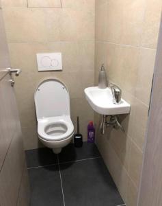 a bathroom with a toilet and a sink at Apartmán Osmička Vrchlabí in Vrchlabí