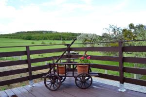 une calèche tirée par des chevaux avec des fleurs sur une terrasse dans l'établissement Ferienwohnung Klüger, à Liebstadt