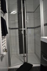 a shower with a glass door in a bathroom at Ferienwohnung Klüger in Liebstadt