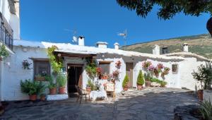 a white house with potted plants and a patio at El Gato Negro in Capileira