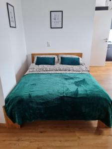 ein Schlafzimmer mit einem Bett mit einer grünen Decke in der Unterkunft Ferienapartment Heimatgefühl in Bühl
