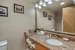 a bathroom with a sink and a large mirror at Comfort Inn Shady Grove - Gaithersburg - Rockville in Gaithersburg