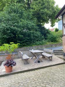 two benches and a picnic table and a potted plant at Haus Lindenteichblick in Atzenhausen