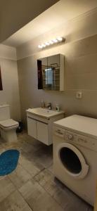 a bathroom with a washing machine and a sink at Elena's Apartments Corfu in Ipsos +22 photos