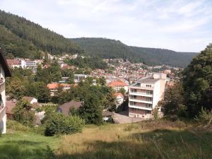 a view of a town in the mountains at Ferienwohnung Tannenwald in Bad Wildbad