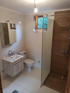 W łazience znajduje się toaleta, umywalka i prysznic. w obiekcie Vikendica MM Kolasin w mieście Kolašin