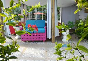 Zahrada ubytování Casa Royal Palm Inn