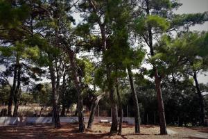 Paesaggio naturale nelle vicinanze dell'appartamento
