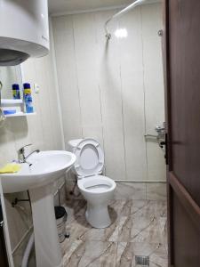 uma casa de banho com um WC, um lavatório e um chuveiro em Guest House Nanu em Mestia