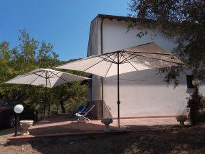 due ombrelli bianchi e una sedia e una sedia di L'Antica Quercia B&B a CastellʼUmberto