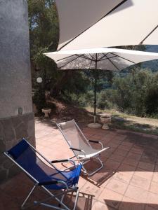 2 sedie e un ombrellone su un patio di L'Antica Quercia B&B a CastellʼUmberto