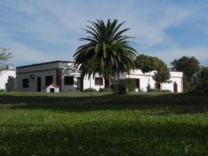 una palmera frente a un edificio blanco en Estancia turistica la Providencia, en Termas del Daymán