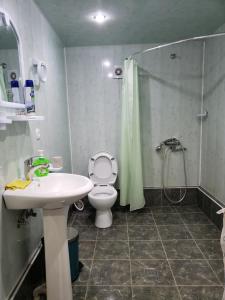 um banheiro com vaso sanitário, chuveiro e pia em Guest House Nanu em Mestia