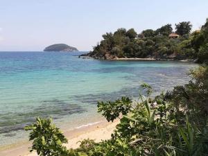 - une vue sur la plage avec des arbres et l'océan dans l'établissement Casa Di Leni, à PalaiónTsiflíkion