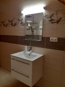 La salle de bains est pourvue d'un lavabo et d'un miroir. dans l'établissement Toldi Apartman, à Keszthely