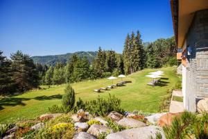 un jardin avec des chaises et des parasols sur une colline dans l'établissement Hotel Partizán, à Tale