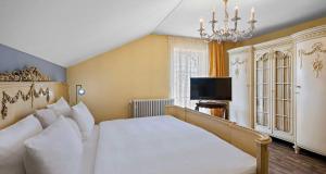 TV a/nebo společenská místnost v ubytování Hotel St Leonhard