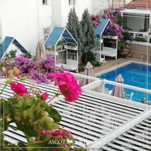 Bazén v ubytování Ascot Hotel Büyükada nebo v jeho okolí