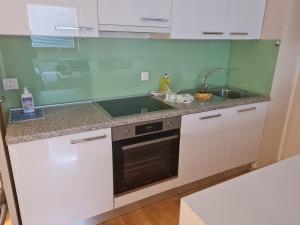 克拉尼斯卡戈拉的住宿－Apartma Svit，厨房配有白色橱柜和水槽