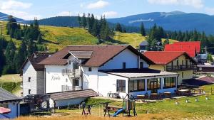 a group of houses on a hill with a playground at Pensiunea Karola in Păltiniş