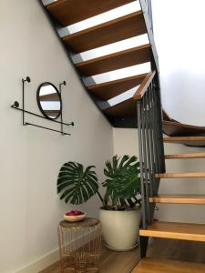 Fotografie z fotogalerie ubytování Villa Raffaella v destinaci Villaverde