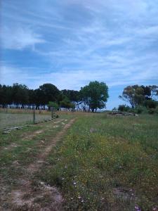 eine unbefestigte Straße auf einem Feld mit Bäumen im Hintergrund in der Unterkunft Casa vacanze in Bianco