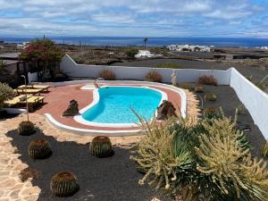a swimming pool in the middle of a yard with cactus at Casa Camelio in Mácher