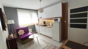 Kuchyň nebo kuchyňský kout v ubytování Cozy, Nice & Quiet apartment Lucky Sarajevo - Free public parking