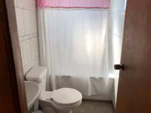 ein Bad mit einem WC und einem Duschvorhang in der Unterkunft Cabañas en Algarrobo Norte in Algarrobo