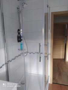 a shower with a glass door in a bathroom at Nina in Bad Wildungen