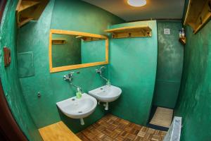 a green bathroom with a sink and a mirror at Chata Severák in Janov nad Nisou