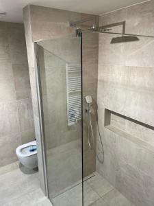 a shower stall in a bathroom with a toilet at Apartmány NETA Velké Karlovice, Polanský Dvůr in Velké Karlovice