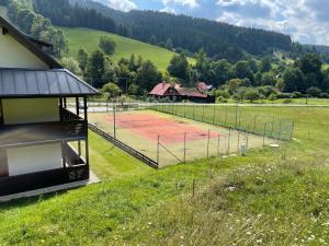 a tennis court in a field next to a building at Apartmány NETA Velké Karlovice, Polanský Dvůr in Velké Karlovice