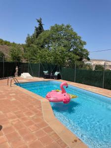 The swimming pool at or close to Air Conditioned "Casa Tropicana" Entire Villa or Individual Apartments
