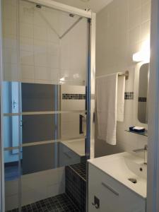 uma casa de banho com um chuveiro e um lavatório. em Les Coquelicots em Montrouge