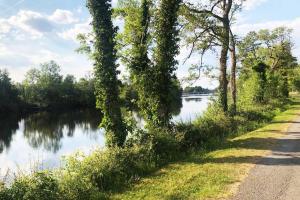 una strada accanto a un fiume con alberi e un bacino d'acqua di Home near the River Shannon a Rooskey