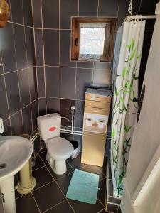 a small bathroom with a toilet and a sink at Guest House Rose in Smederevska Palanka