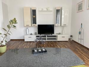 TV a/nebo společenská místnost v ubytování Rheingauer Fewo am Schulhaus