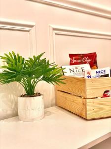 roślina siedząca na ladzie obok pudełka chipsów w obiekcie Magnifique 2 pièces en plein cœur du vieux Nice w Nicei