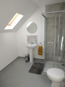 a bathroom with a toilet and a sink and a shower at Greenway Guesthouse in Mullingar